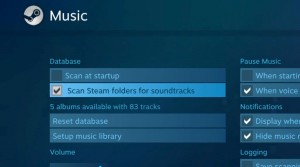 Steam Music settings